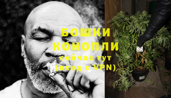 соль ск Липки