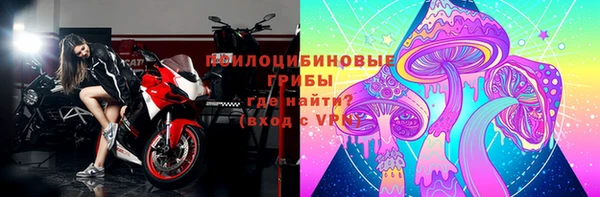 дживик Лихославль