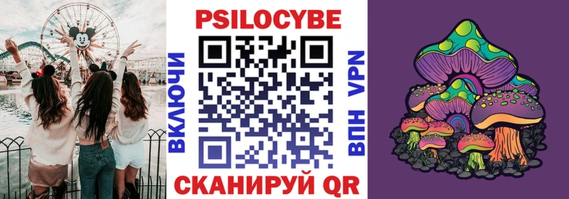 Галлюциногенные грибы Psilocybine cubensis  darknet клад  Сусуман 